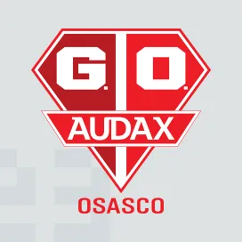 Gremio osasco audax